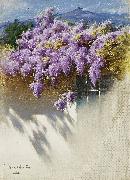 Antonio Mancini, Wisteria in bloom